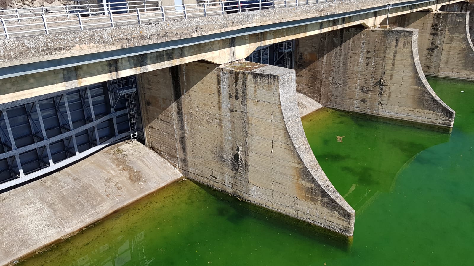 Visita Ricobayo iberdrola Laboratorio Hidráulica - ingenierosVA